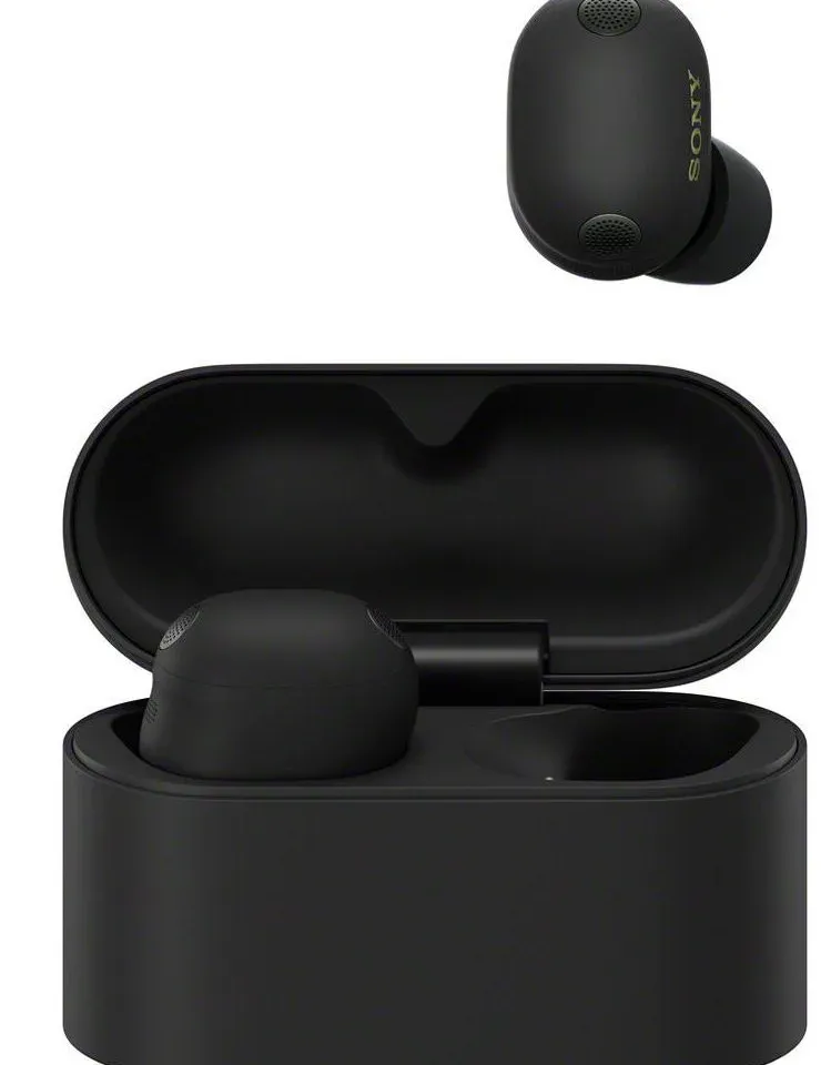 Sony WF-1000XM6 earbuds