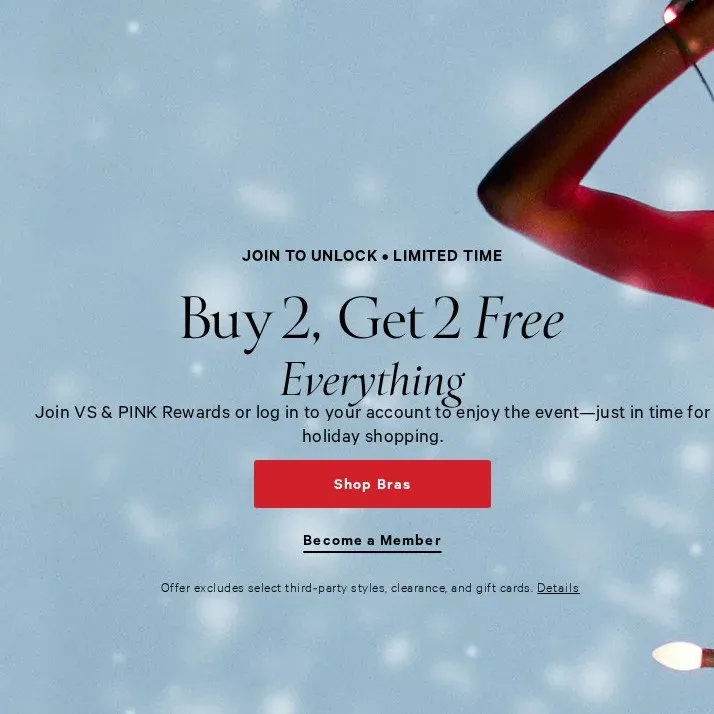VS & PINK Rewards Member Days: Buy 2, Get 2 Free Everything (ends Oct 26)